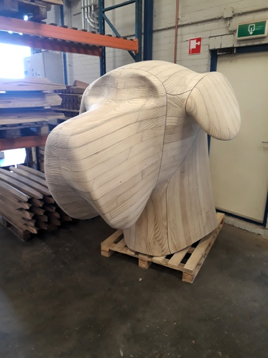 Mannes ongelakte kop