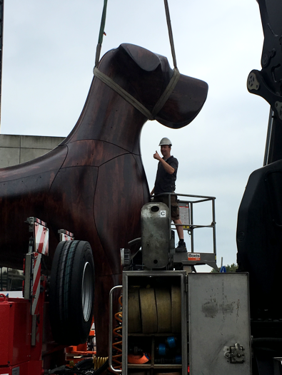 Het hoofd maakt Mannes 'af'